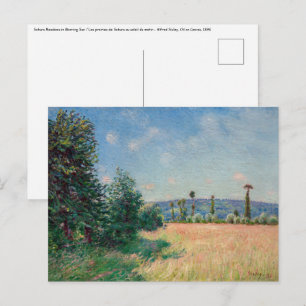 Alfred Sisley - Sahurs Meadows in Morning Sun ポストカード