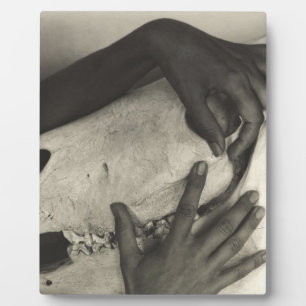 Alfred Stieglitz - Georgia O'Keeffe - Hands And Ho フォトプラーク