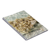 Algas Spiral Photo Notebook ノートブック (右側)