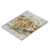 Algas Spiral Photo Notebook ノートブック (左側)
