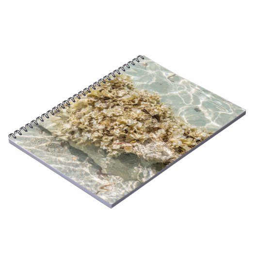 Algas Spiral Photo Notebook ノートブック (左側)