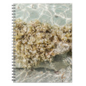 Algas Spiral Photo Notebook ノートブック (正面)