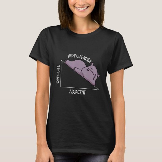 algebra math student math teacher hippotenuse tシャツ (正面)