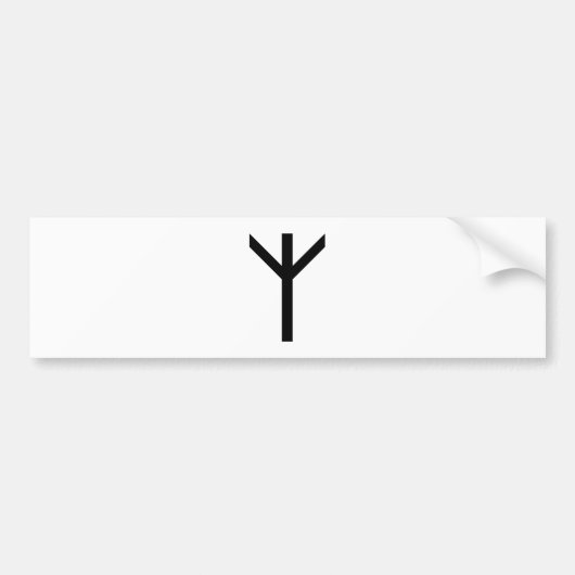 ALGIZのRUNE バンパーステッカー (正面)