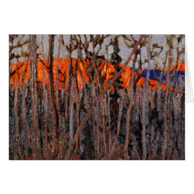 Algonquin公園 (正面横)