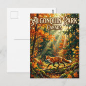 Algonquin Provincial Park Canada ポストカード (正面/裏面)