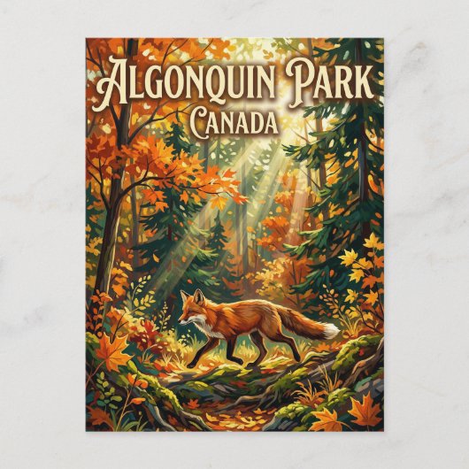 Algonquin Provincial Park Canada ポストカード (正面)