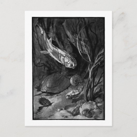 Alice B. Woodward：デボン時代のアートポストカード ポストカード (正面)