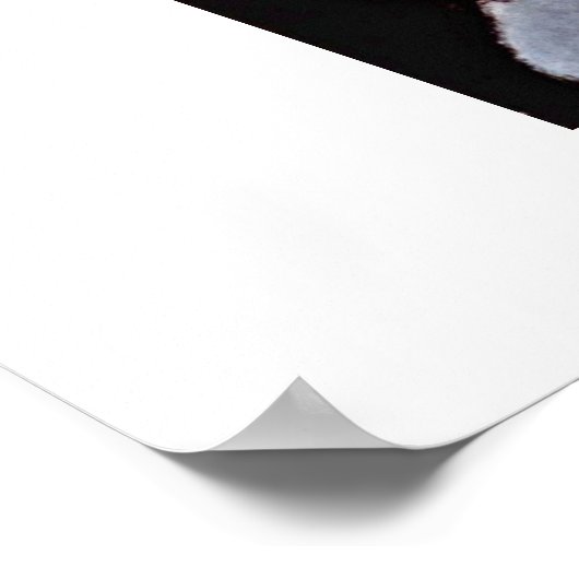 Alice By Amedeo Modigliani ポスター (角)