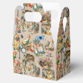 Alice in Wonderland Cheshire Catキャラクター フェイバーボックス (オープン)