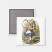 Alice in Wonderland Flamingo Magnet マグネット (正面/裏面)