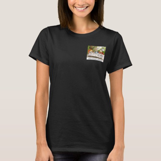 Alice's Adventures in Wonderland Tシャツ (正面)