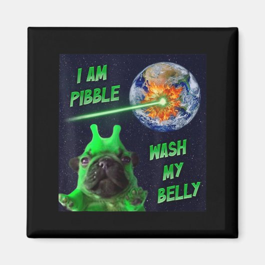 Alien Bble Funny Brainrot Dog Meme Space I Am Bble マグネット (正面)