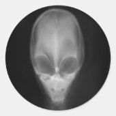 Alien Skull X-ray ラウンドシール (正面)