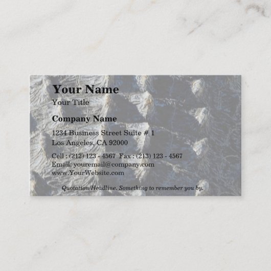 Aligatorの写真、詳細 名刺 (正面)