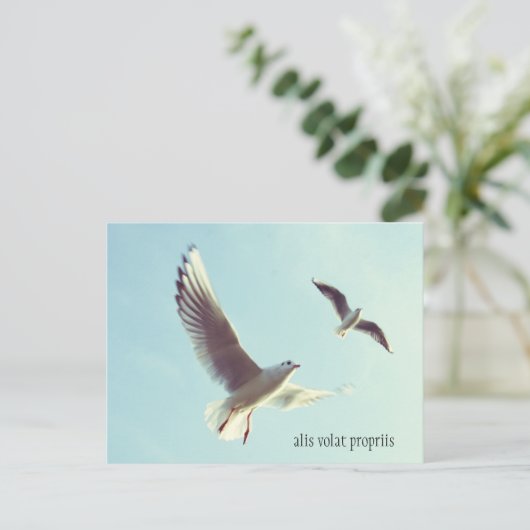 Alis Volat Preciseはがき ポストカード (スタンド正面)