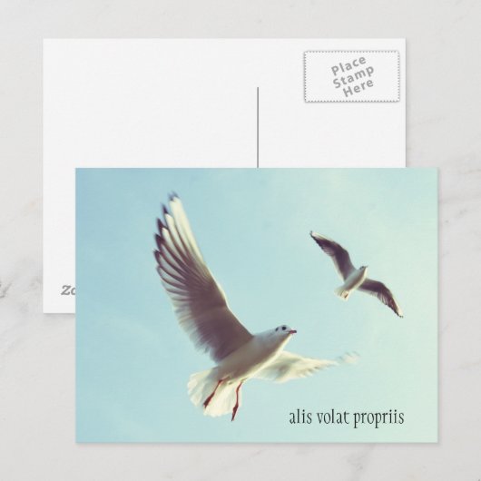 Alis Volat Preciseはがき ポストカード (正面/裏面)