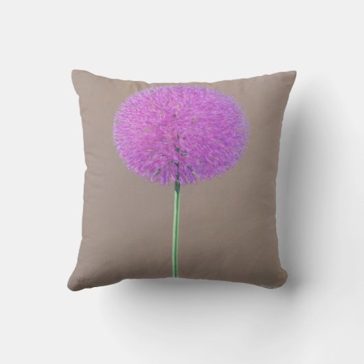 Alium クッション (裏面)