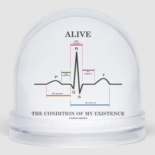 Alive The Condition Of My Existence Sinus Rhythm (正面)