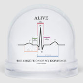 Alive The Condition Of My Existence Sinus Rhythm (裏面)