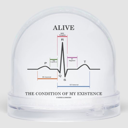Alive The Condition Of My Existence Sinus Rhythm (裏面)