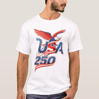 ALL アメリカン 250 Tシャツ