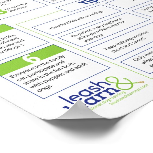 All About Clicker Training for Dogs Poster ポスター (角)