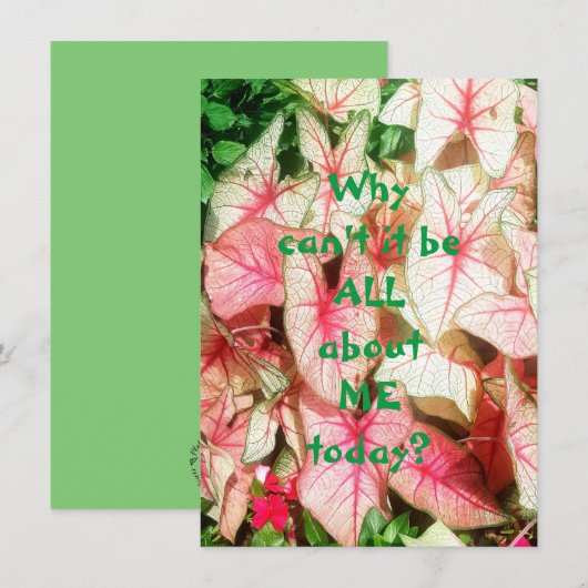 All About Me Flat Greeting Card (正面/裏面)