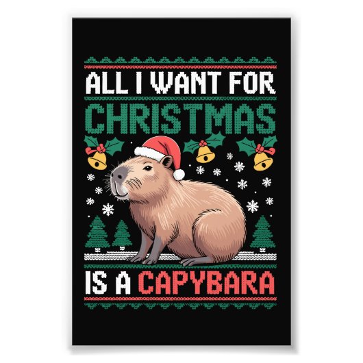 All I Want For Christmas Is A Capybara Animal Gift フォトプリント (正面)