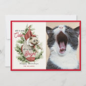 All Is Calm Cat おもしろい Inストッキング写真 シーズンカード (正面)