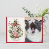 All Is Calm Cat おもしろい Inストッキング写真 シーズンカード (スタンド正面)