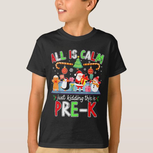 All Is Calm Pre K Funny Christmas Quote For Teache Tシャツ (正面)