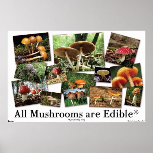 All Mushrooms Are Edible* ポスター (正面)