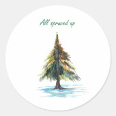 All spruced up ラウンドシール (正面)