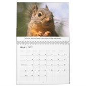All Star Squirrel Calendar - New Life Lessons カレンダー (3月 2027)