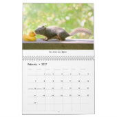 All Star Squirrel Calendar - New Life Lessons カレンダー (2月 2027)