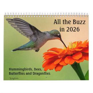 All the Buzz 2026 Calendar カレンダー