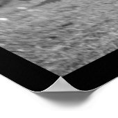 Allan Pinkerton, Head of the Secret Service 1862 ポスター (角)