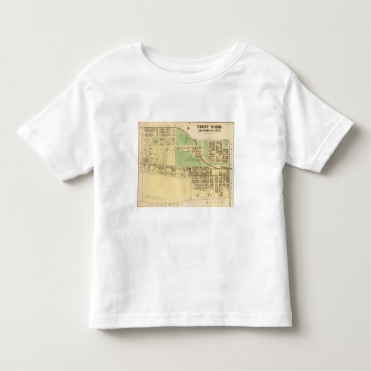 Alleghenyの区1 トドラーTシャツ (正面)