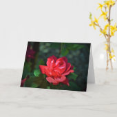 allegoricallittera.blogspot.com Red Rose,バラ カード (黄色い花)