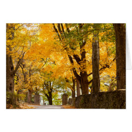 Allenberryリゾートの記入項目