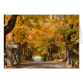 Allenberryリゾートドライブ