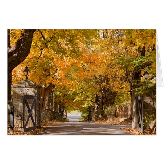 Allenberryリゾートドライブ (正面横)