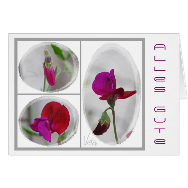 Alles Gute (正面横)