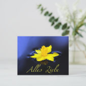 Alles Liebe – フュールディーヌ・リーブステン! ポストカード (スタンド正面)