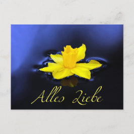 Alles Liebe – フュールディーヌ・リーブステン！ ポストカード