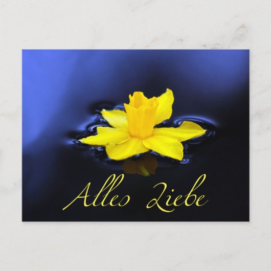 Alles Liebe – フュールディーヌ・リーブステン! ポストカード (正面)