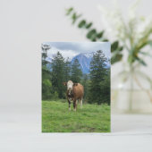 Allgaeuのかわいい牛 – Bavaria, Germany ポストカード (スタンド正面)