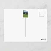 Allgaeuのかわいい牛 – Bavaria, Germany ポストカード (裏面)