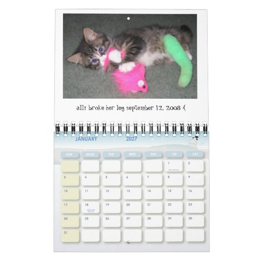 Alliの日の小型カレンダー2009-2010年 カレンダー (1月 2027)